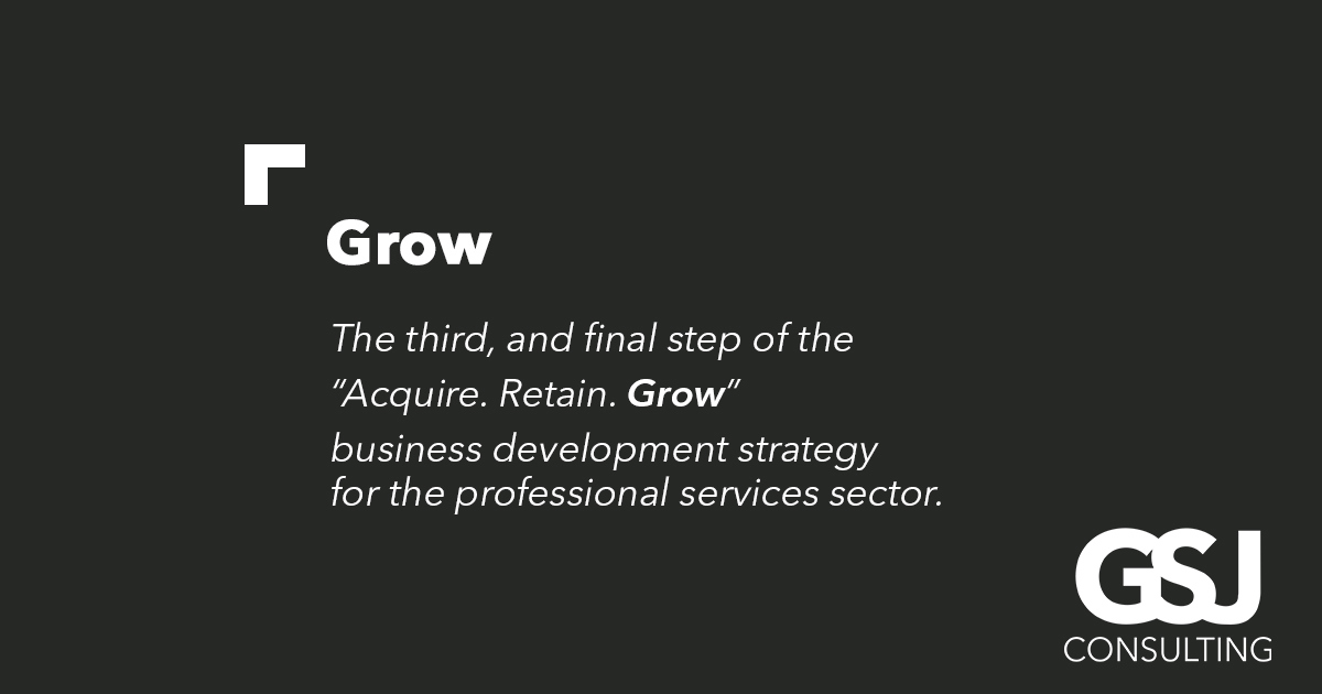 BD to Grow Your Clients & Firm | GSJ Consulting